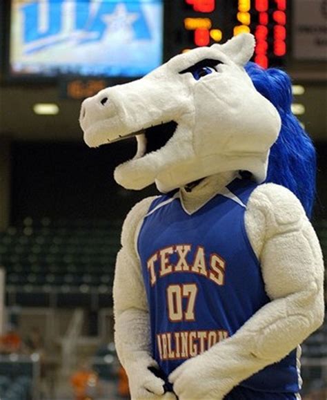 Texas high school basketball mascot